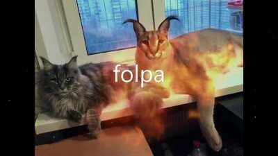 folpa