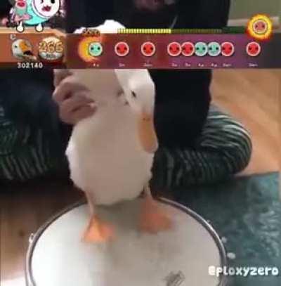 Chale el pato es más bueno en el Taiko que yo 😔👌