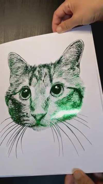 Foil reveal of my pet portrait of a cat named Desmond (ASMR)