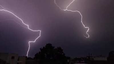 delhi