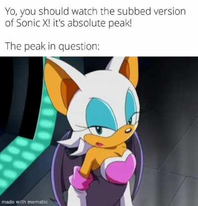 Sonic X subbed be crazy!