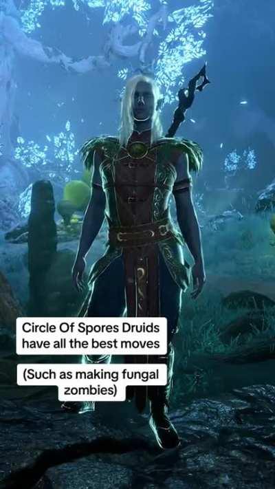 Circle of Spores Druid from Larian's Tiktok