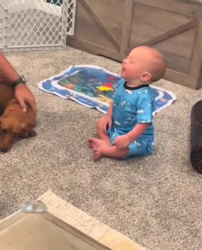 A baby's reaction to seeing a dog for the first time