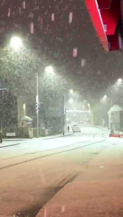 Satisfying heavy snowfall in Northern Ireland.