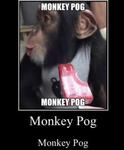 Monkey Pog