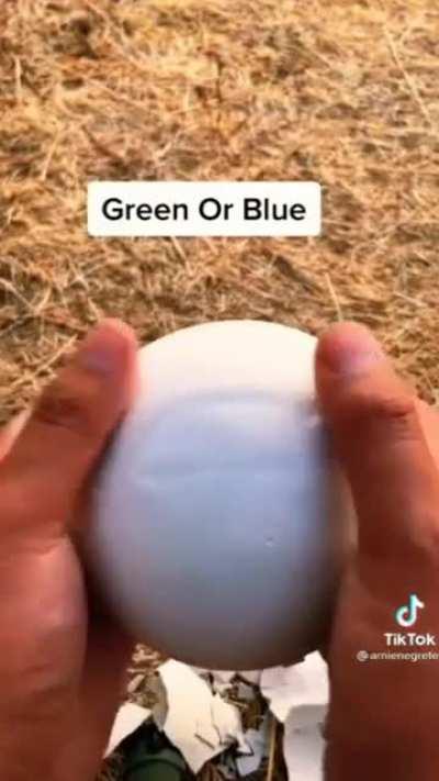 Green or Purple