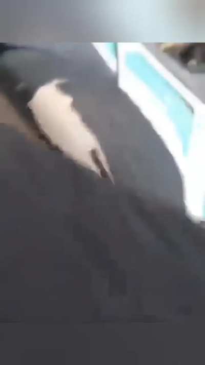Intrusive foot