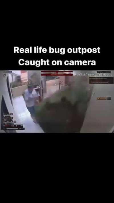 Real life bug outpost 