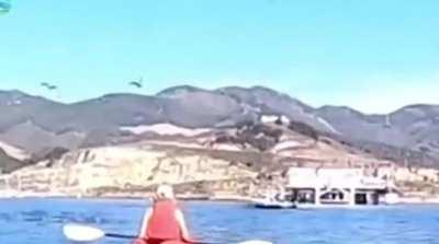 Whale swallows two kayakers then spits them out.