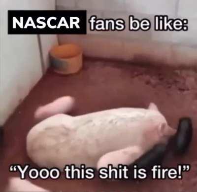 NASCAR slander