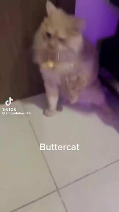 Butterwunk