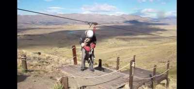 Ever seen a dog on a zipline?