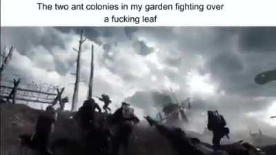 Memes aside, this is in my opinion the best presentation of bf'1s atmosphere