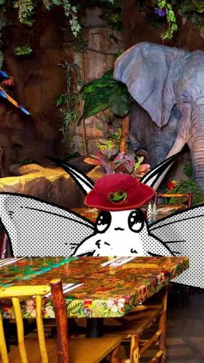 ASMR Your Tinder Date Takes You to a Rainforest Cafe