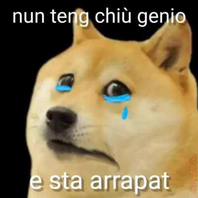 altro meme da discord