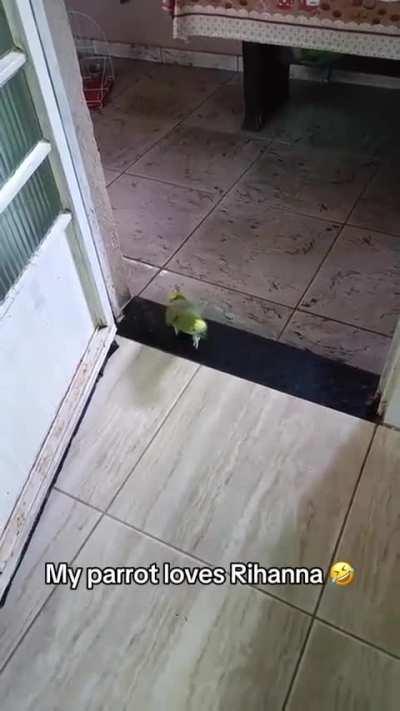 This Parrot singing his favorite song 