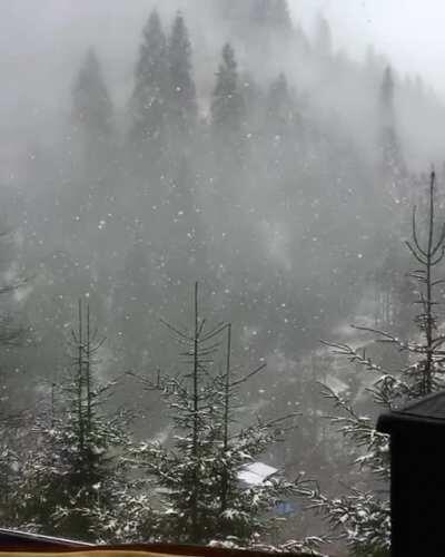 Cosy Mountain House , North Turkey . Happy Xmas .