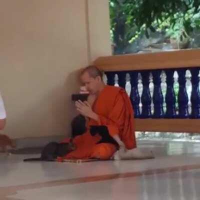 The level of dedication of this amazing monk! I would get distracted and fail almost immediately!