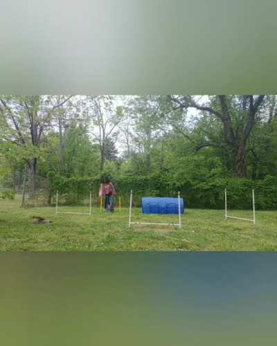 Doing the agility course (she nails it on the seesaw at the end)