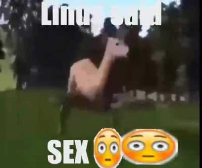 sex 😎