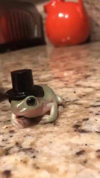 Fancy boi