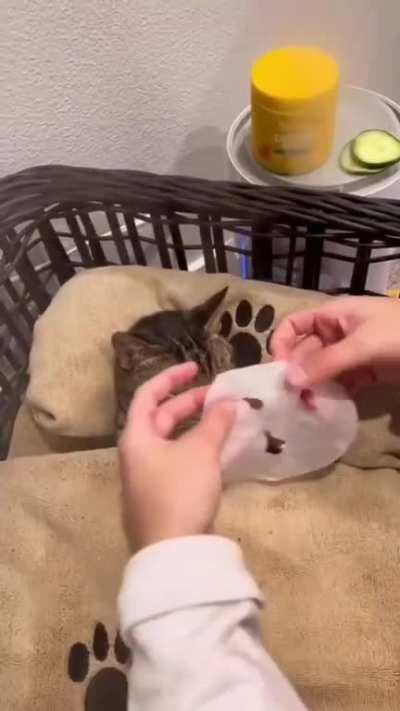 DeRaNGeD HUmaN TeNDerIzES CaT MeAT BeFoRE COoKinG It ALiVE