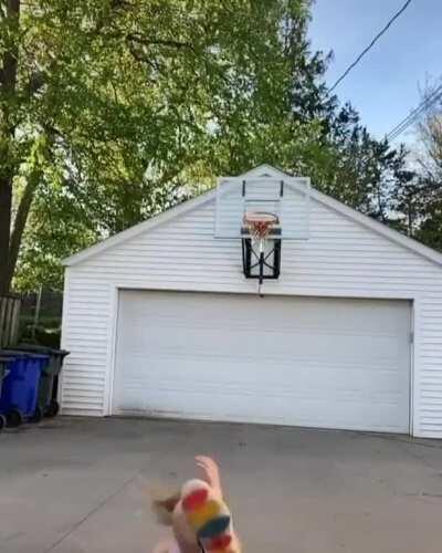 WCGW if I miss the hoop while making a TikTok