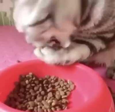 Derp trying to scoop food