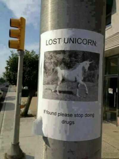 Lost unicorn