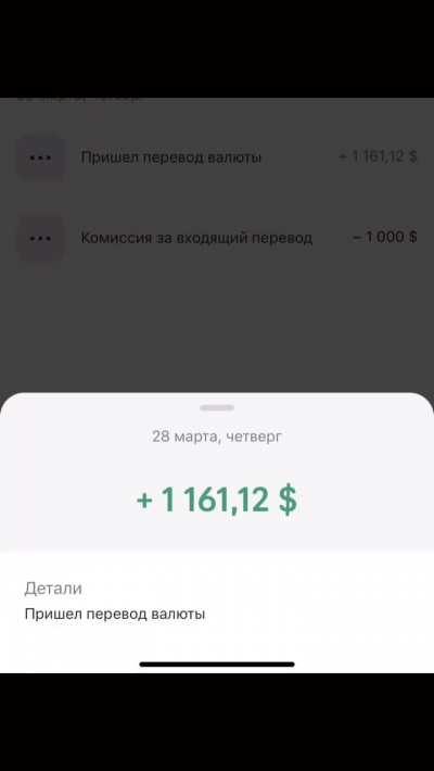Анекдот: российский разраб получил выплату от Steam в размере $1161, а банк Потанина забрал $1000 комиссии. 