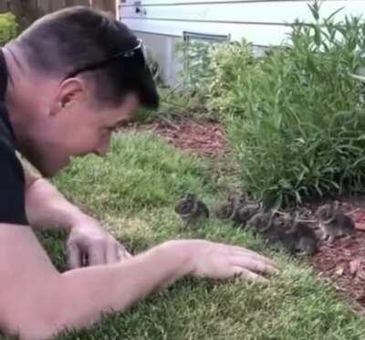 Baby bunnies are the cutest!