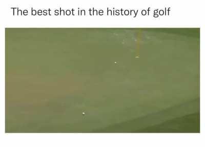 The best shot in the history of golf