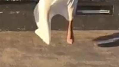 Woman Snaps Ankle After Jumping In Heels