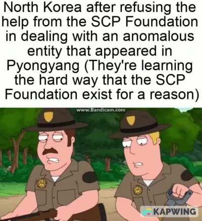 Scp Foundation did an oopsie : r/DankMemesFromSite19