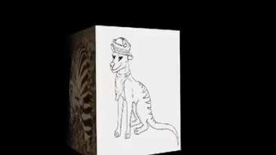 Thylacine cube