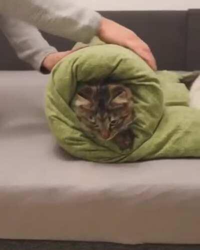 Tightly rolled purrito