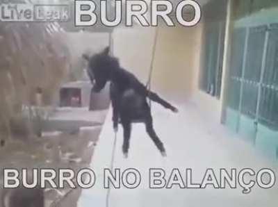 WCGW burro no balanço