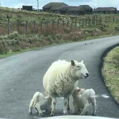 Babies gotta nurse where babies gotta nurse.