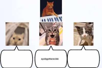 Cat Band performs 'Sirens' by Travis Scott. Ft. Yeller (OC)