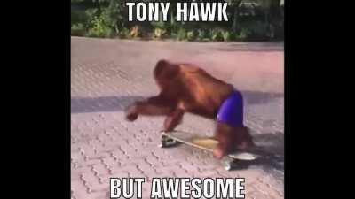 tony hawk pro skate (awesome edition)