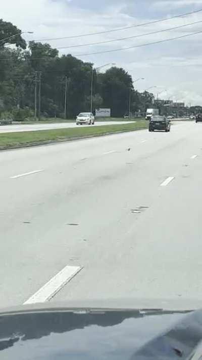 Birds obey traffic laws better than humans in FL. Dash Cam Vid