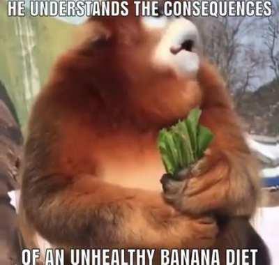 Strong monkes eat every fruit and vegetable uuuhhhh aaaahhh 🦍💪🐒