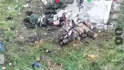 A feral cat dining on a corpse of a russian fighter in Ukraine. Alt title in the body.