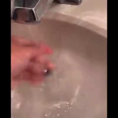 Please, always check the shower, he might be here