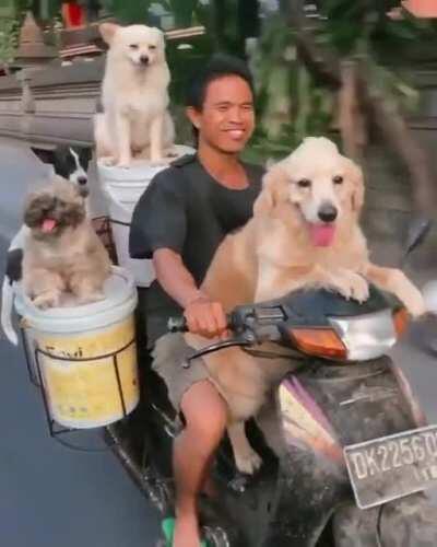 Cruising through Bali with the squad 🐶