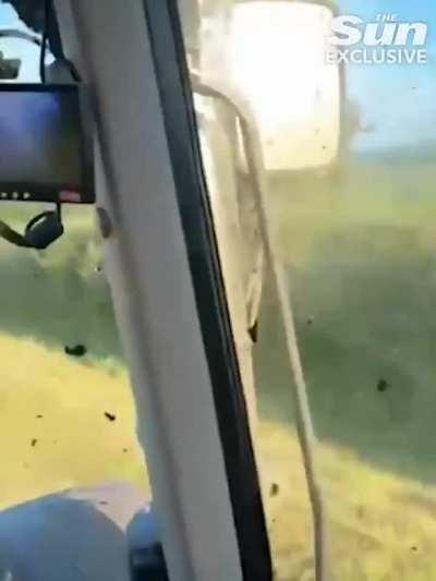 Farmer blasts camper in slurry after catching him sleeping in a tent on his land