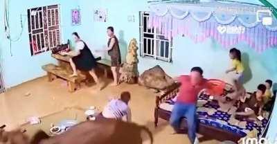 Bull interrupts family dinner in Vietnam