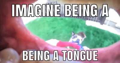 Imagine being a tongue😳😳