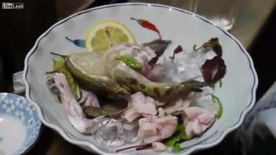 NSFW Live frog sashimi (graphic)