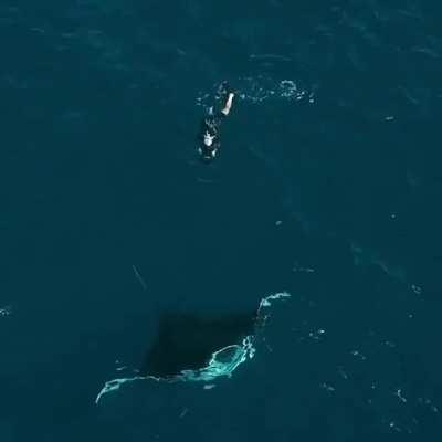 This Manta ray off the coast of Isla Mujeres by Paul Nicklen